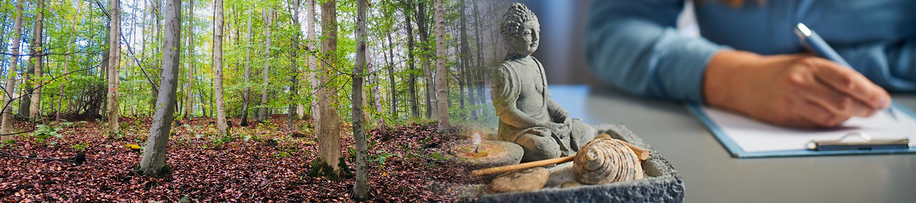 Wald mit vielen B&auml;umen und schreibende Hand